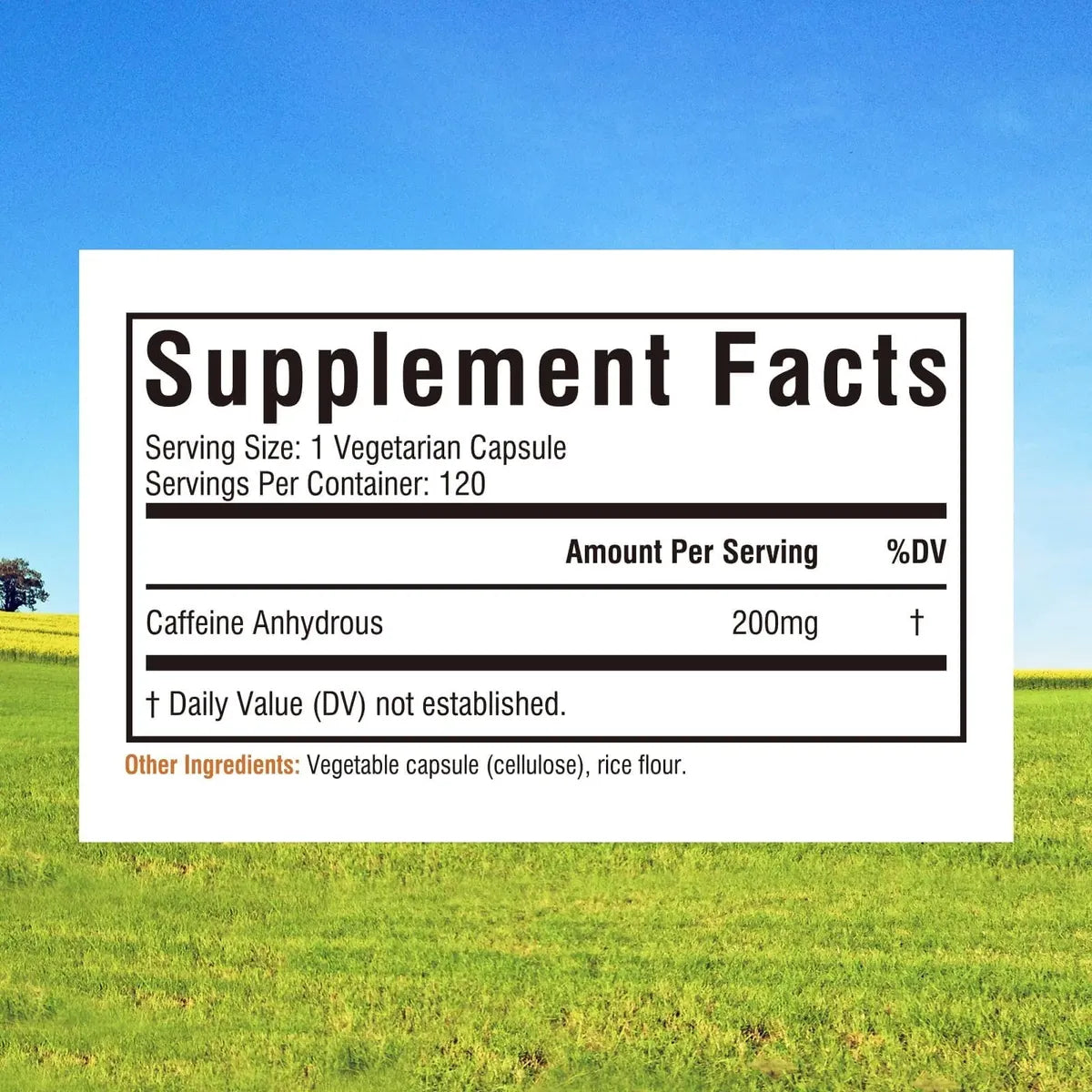 Cafeína Anhidra Innate Vitality | 200 mg | 120 Cápsulas