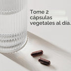 Saúco + Zinc, Vitamina C y D3 – Sports Research | Soporte Inmunológico